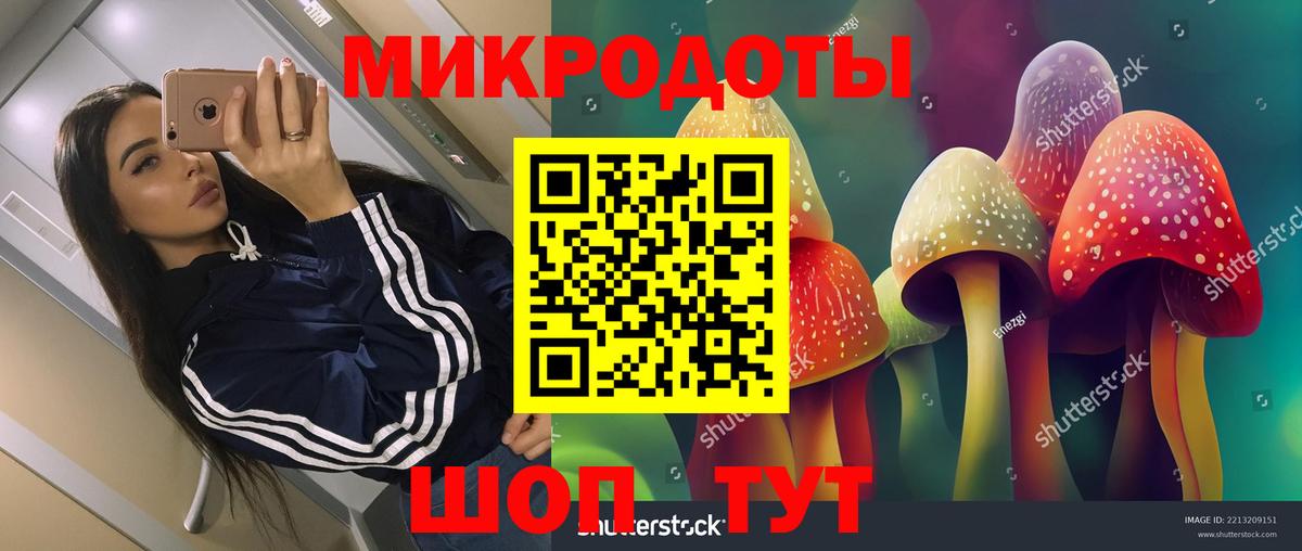 Хасавюрт  Галлюциногенные грибы прущие грибы  Галлюциногенные грибы MAGIC MUSHROOMS  Вход с VPN 